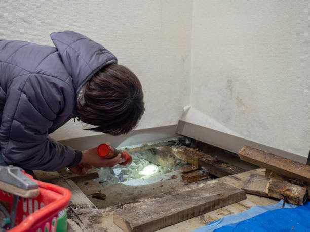Environmental Consulting for Mold Prevention in Wilton Manors, FL