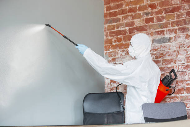 Best Industrial Mold Remediation  in Wilton Manors, FL