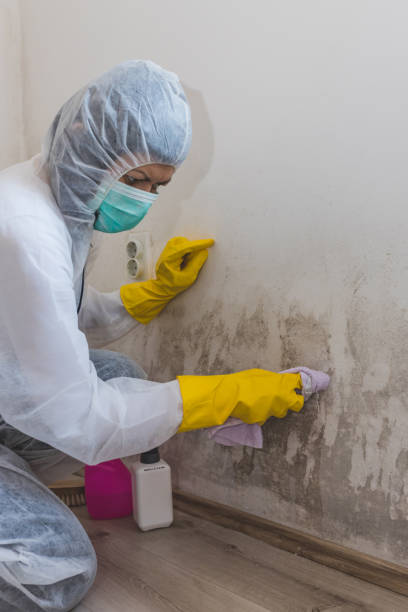 Best Forensic Mold Investigation  in Wilton Manors, FL