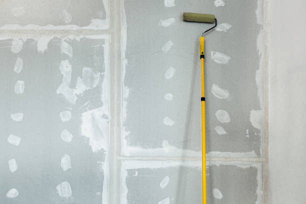 Best Post-Construction Mold Inspection  in Wilton Manors, FL