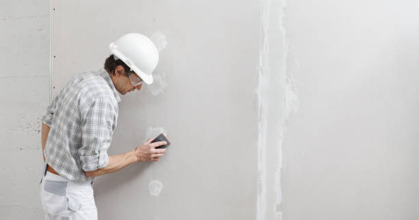 Biohazard Mold Removal in Wilton Manors, FL
