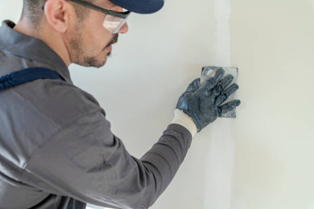 Best Industrial Mold Remediation  in Wilton Manors, FL