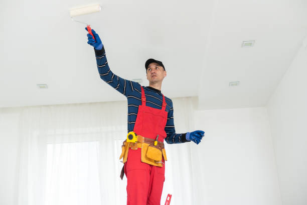 Best Mold Documentation for Insurance Claims  in Wilton Manors, FL