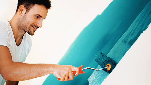 Best Mold Odor Removal Services  in Wilton Manors, FL