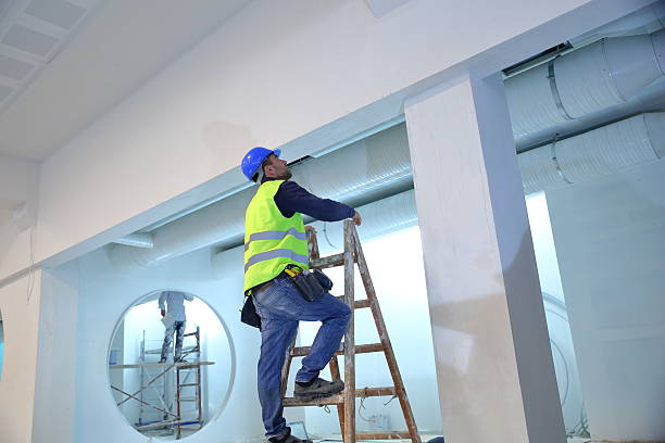 Best Mold Damage Restoration  in Wilton Manors, FL